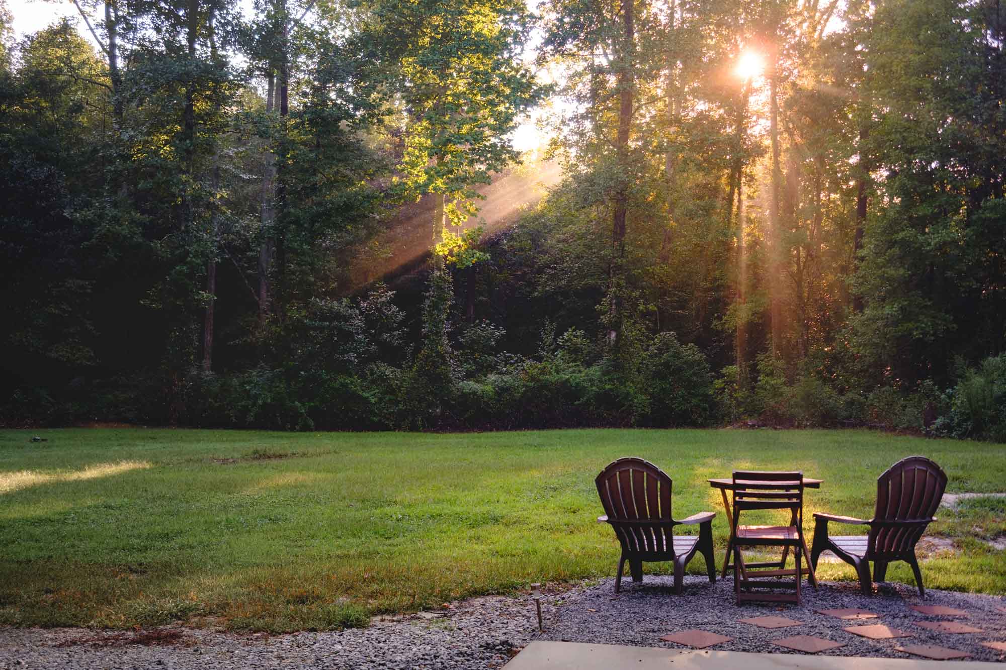 Novel-Woods_Chairs 2000
